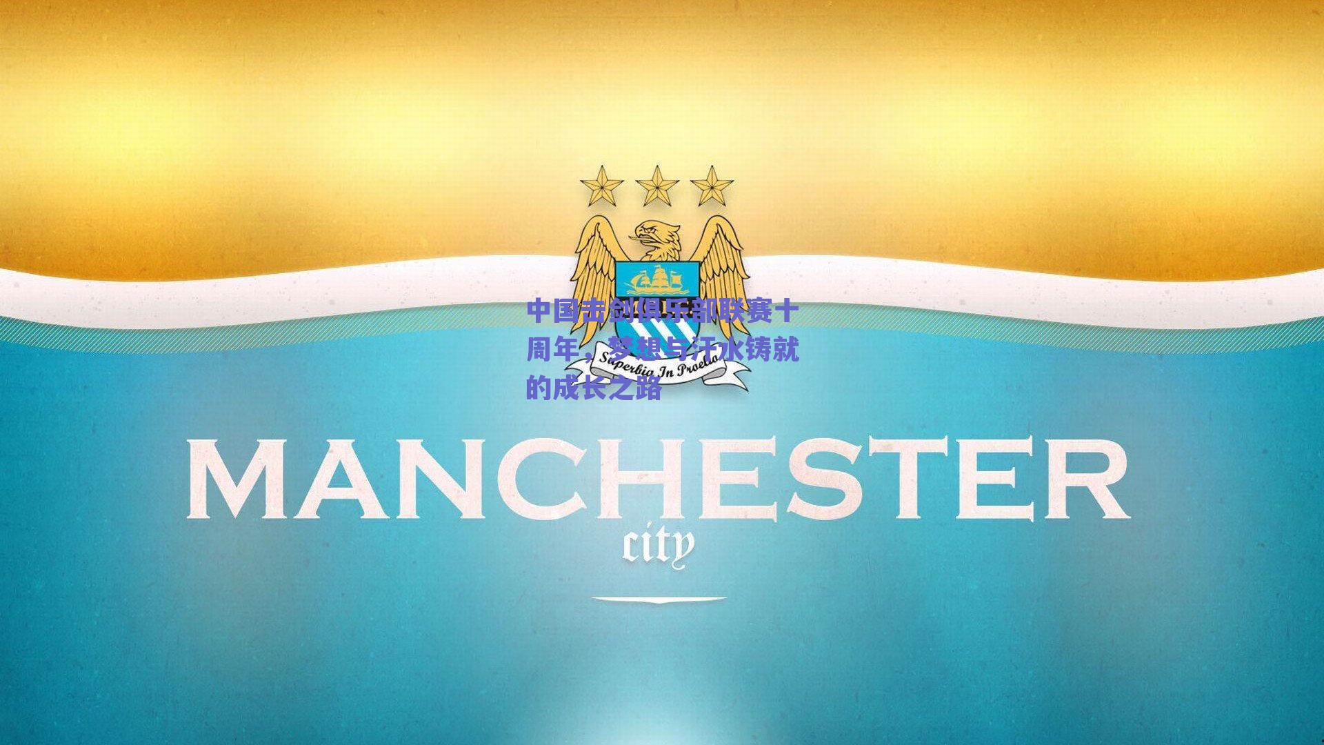 中国击剑俱乐部联赛十周年，梦想与汗水铸就的成长之路